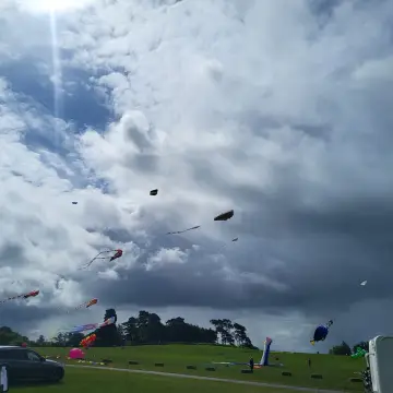 Image from Jayne's Baby Bank (Main Historical Profile), 27 May 2024: Kiting with Roy & Helen