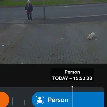 Image from Jayne's Baby Bank (Main Historical Profile), 23 Dec 2025: 4 times I just had to tell this one to get the dog on a lead and off the drive way and upsetting our cats. See those huge cctv cameras and s