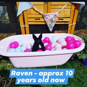 Image from Jayne's Baby Bank (Main Historical Profile), 20 Jan 2026