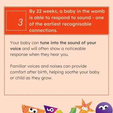Image from Jayne's Baby Bank (main page), 10 Dec 2025