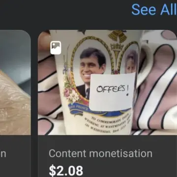 Image from Jayne's Baby Bank (main page), 30 Aug 2025: Checking our monetization from FB - I don't know what's funnier - earning $98 from that old hag, Hayley Thomas bitchy comments or $2 dollars