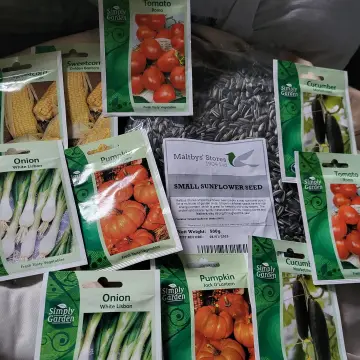 Image from Jayne's Baby Bank (Main Historical Profile), 4 Feb 2024: Seeds ready for the allotments ! When we say "we grow" we actually grow to feed the community. We did so well last year with our little pots