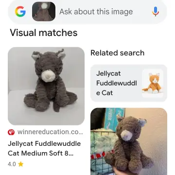 Image from Jayne's Baby Bank (Main Historical Profile), 24 Nov 2025: We have had a vintage Jelly cat donated for our Customer Hide & Seek the Jelly Cat Giveaway. This one had been hidden in Pontypool shop too!