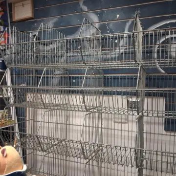 Image from Jayne's Baby Bank (Main Historical Profile), 15 Dec 2025: Dan's been busy today at Cosmic Caerphilly thank you to Valley Pet & Angling