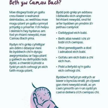 Image from Jayne's Baby Bank (Main Historical Profile), 29 Jan 2026
