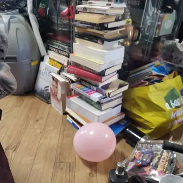 Image from Jayne's Baby Bank (main page), 18 Aug 2025: I have a balloon friend today he's blown into my shop