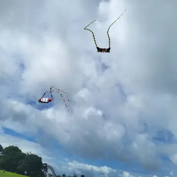 Image from Jayne's Baby Bank (Main Historical Profile), 27 May 2024: Kiting with Roy & Helen