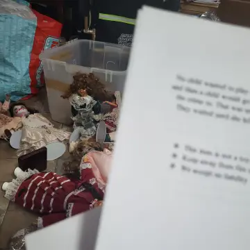 Image from Jayne's Baby Bank (main page), 29 Sep 2024: Starting the stories the go with the haunted dolls. We have 23 in total £10 each please = £230 towards baby food jars. 👻👻👻👻
