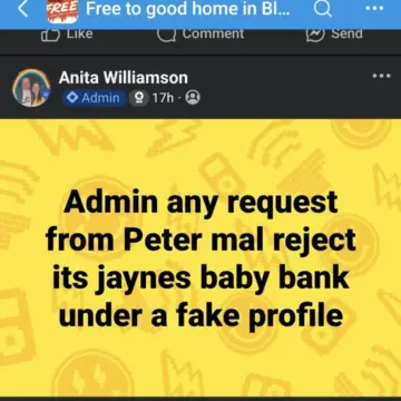 Image from Jayne's Baby Bank (Main Historical Profile), 18 Jan 2026: What's the catalyst for Anita to have harrassed us over a 5 year period even though I've never met her ? Maybe the fact that she is the admi