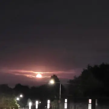 Image from Jayne's Baby Bank (main page), 21 Jul 2024: STOP! look at the 🌙 moon