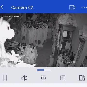 Image from Jayne's Baby Bank (main page), 17 Aug 2025: Every time I do a shop cctv check he makes me jump! 🤣🦄