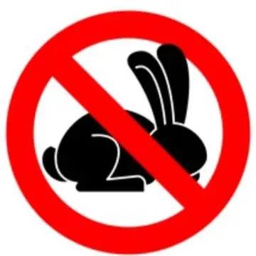 Image from Jayne's Baby Bank (Main Historical Profile), 23 Mar 2026: 🚩polite notice 🚩 The sun in shining! It's springtime! It's nearly Easter! Let's buy a rabbit?! 🐇 If you want to spend the next 18 years shov