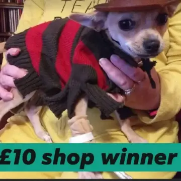 Photo from Jayne's Baby Bank (main page), 27 Nov 2025