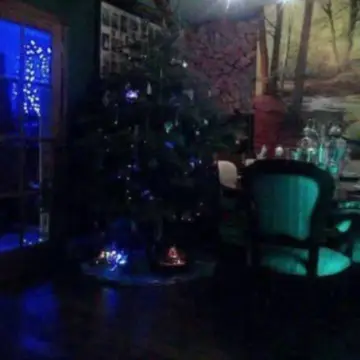 Image from Jayne's Baby Bank (Main Historical Profile), 16 Feb 2026: Debunking another baby bank myth! Well maybe not I will admit to hoarding Christmas trees! 🤣 this is my house of hoarding horrors sorry abou