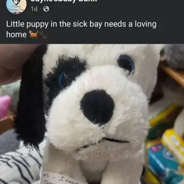 Photo from Jayne's Baby Bank (main page), 27 Jan 2025: Teddies are our top sellers guys - please donate your teddies to us 🙏 ♻️❤️ No teddy ever gets binned either - reguardless of their condition