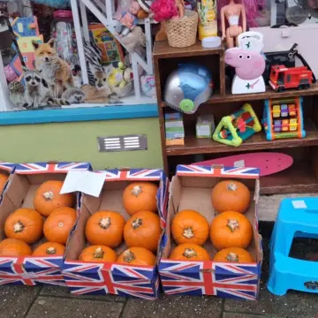 Image from Jayne's Baby Bank (Main Historical Profile), 10 Nov 2025: RISCA ROO - pop in and see Dan I've told him to give you a deal. Free pumpkins - closing at 3pm ish - only open Monday and Friday this week 
