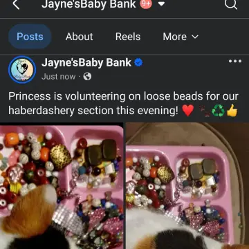 Image from Jayne's Baby Bank (Main Historical Profile), 19 Jan 2026