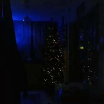 Image from Jayne's Baby Bank (Main Historical Profile), 16 Feb 2026: Debunking another baby bank myth! Well maybe not I will admit to hoarding Christmas trees! 🤣 this is my house of hoarding horrors sorry abou