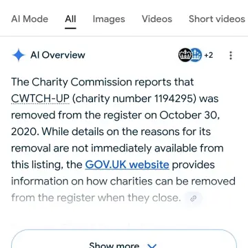 Image from Jayne's Baby Bank (main page), 29 Sep 2025: Sherlock you are clutching at straws if you are pulling Nicola out of the bag 🤣🤣 The founder of cwtch up charity that we got shut down has w