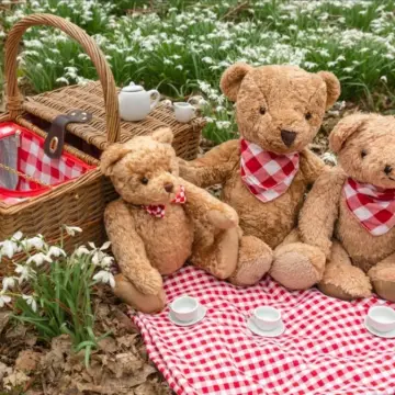 Photo from Jayne's Baby Bank (main page), 10 Jun 2025: I've been wanting to do this for a while - would our Mothers like us to put on a free Teddy Bears Picknic first day of the summer holidays?