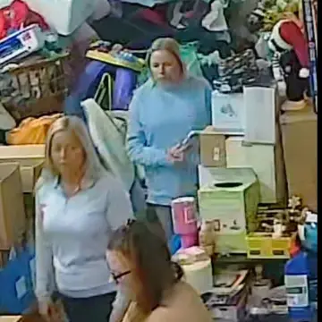 Image from Jayne's Baby Bank (Main Historical Profile), 16 Feb 2026: These pair said I battered them to within an inch of their life with a yellow health and saftey sign after they came in and bothered me 🤣🤣⚠️
