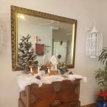 Image from Jayne's Baby Bank (main page), 22 Dec 2025