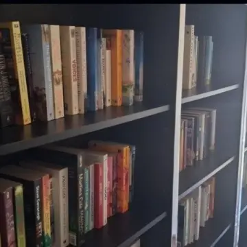 Image from Jayne's Baby Bank (main page), 12 Aug 2025: Our book manager Is down Risca if you would like to discuss authors ect . Dan has started sorting Caerphilly shop books for our library