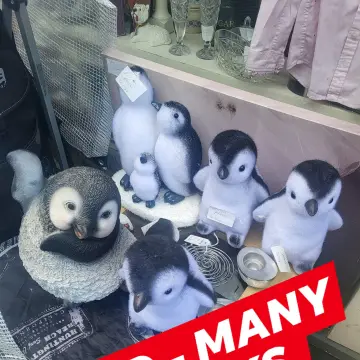Image from Jayne's Baby Bank (Main Historical Profile), 21 Oct 2025: Penguin family rehomed £14 for all and a free penguin and a raffle ticket for £20 voucher draw