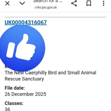 Image from Jayne's Baby Bank (Main Historical Profile), 9 Jan 2026