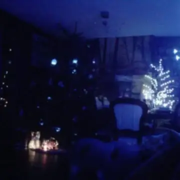 Image from Jayne's Baby Bank (Main Historical Profile), 16 Feb 2026: Debunking another baby bank myth! Well maybe not I will admit to hoarding Christmas trees! 🤣 this is my house of hoarding horrors sorry abou