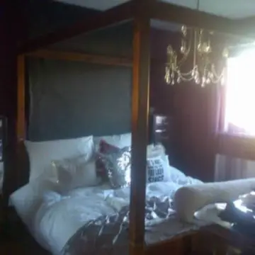 Image from Jayne's Baby Bank (Main Historical Profile), 16 Feb 2026: Debunking another baby bank myth! Well maybe not I will admit to hoarding Christmas trees! 🤣 this is my house of hoarding horrors sorry abou