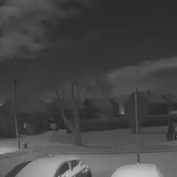 Image from Jayne's Baby Bank (Main Historical Profile), 5 Jan 2026: 4:16 am Blackwood