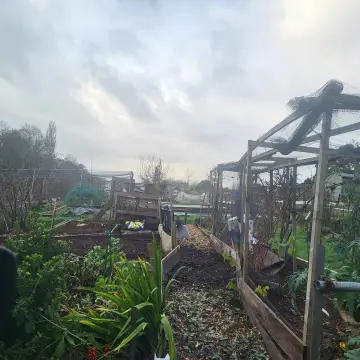 Image from Jayne's Baby Bank (Main Historical Profile), 1 Jan 2024: Happy New Year Everyone- we are helping Carl on his alotment. We are looking for volunteers to help him with this allotment and we havea pri