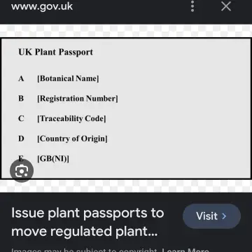 Image from Jayne's Baby Bank (Main Historical Profile), 15 Jan 2024: I have the plant form. The passports? Do they go with the plant? Or do I keep them on file 🤷‍♀️🌱