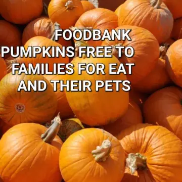 Photo from Jayne's Baby Bank (main page), 5 Dec 2025