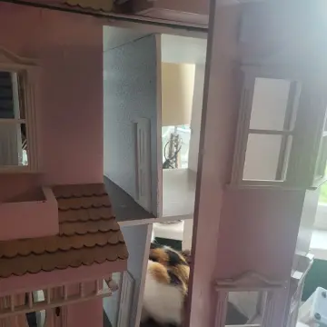 Image from Jayne's Baby Bank (Main Historical Profile), 9 Jan 2026: Excuse me! I have a squatter that has broken onto my pink Georgian Manner! Please remove your fur bum from my property!