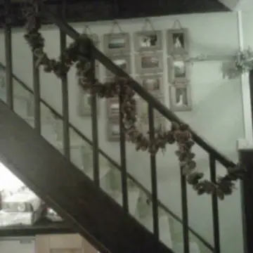 Image from Jayne's Baby Bank (Main Historical Profile), 16 Feb 2026: Debunking another baby bank myth! Well maybe not I will admit to hoarding Christmas trees! 🤣 this is my house of hoarding horrors sorry abou