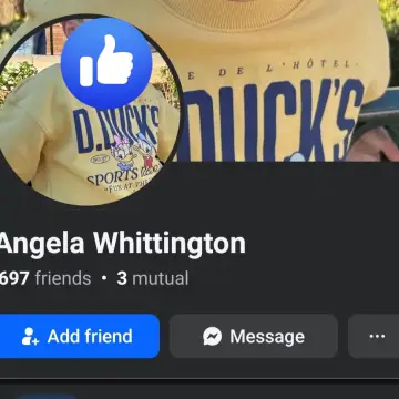 Image from Jayne's Baby Bank (Main Historical Profile), 21 Nov 2025: That's the one spying and watching our account for HCT I just caught her log into a live. Grow up - worry about your own group because that'