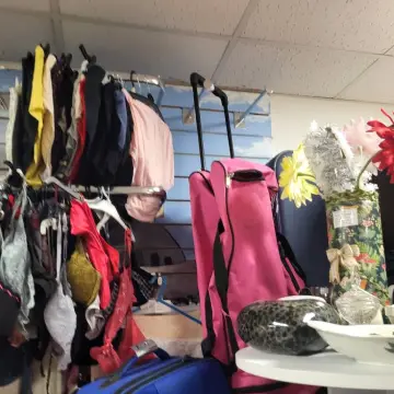 Photo from Jayne's Baby Bank (main page), 12 Nov 2025