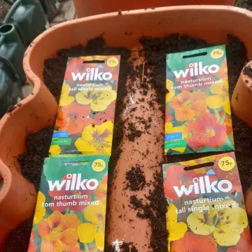 Image from Jayne's Baby Bank (Main Historical Profile), 11 Mar 2024: Carl's been busy growing some items for our allotment areas!