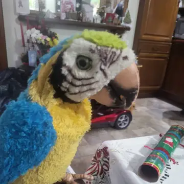 Image from Jayne's Baby Bank (Main Historical Profile), 1 Jan 2026: Omg somebody send these people a sense of humor 😂🤣😂🤣😂🤣😂🤣😂🤣😂 My Dad said- grow up you idiot it's a puppet! 🤣🤣