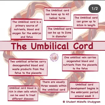 Image from Jayne's Baby Bank (Main Historical Profile), 20 Feb 2024: Some of the answers to questions Mums may have 🍼❤️♻️🌎
