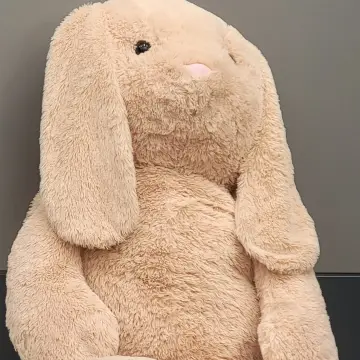 Image from Jayne's Baby Bank (main page), 17 Jul 2024: Giant bunny free to to the child that guesses the name. Comment below ↘️⬇️↙️