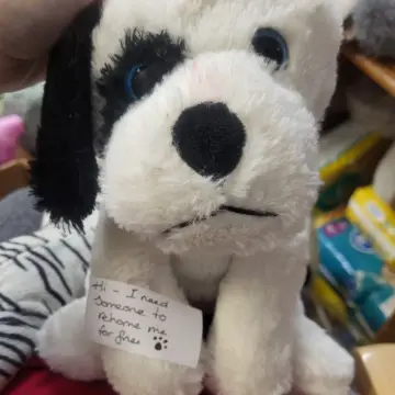 Photo from Jayne's Baby Bank (main page), 26 Jan 2025: Little puppy in the sick bay needs a loving home 🐕🐾