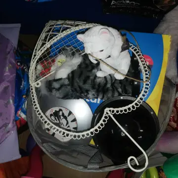 Image from Jayne's Baby Bank (Main Historical Profile), 26 Mar 2024: Donations today!! Thank you Sammy Arnold for picking up for us and spying the kick stools!