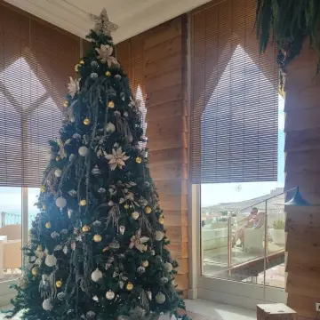 Image from Jayne's Baby Bank (main page), 22 Dec 2025