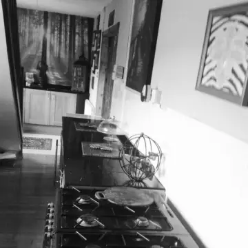 Image from Jayne's Baby Bank (Main Historical Profile), 16 Feb 2026: Debunking another baby bank myth! Well maybe not I will admit to hoarding Christmas trees! 🤣 this is my house of hoarding horrors sorry abou