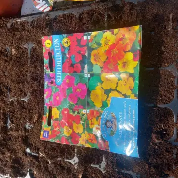 Image from Jayne's Baby Bank (Main Historical Profile), 11 Mar 2024: Carl's been busy growing some items for our allotment areas!