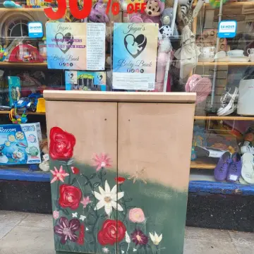 Image from Jayne's Baby Bank (main page), 10 Aug 2025: Beautiful cupboard with shelves by a artist from Newport £100 please Absolutely stunning .