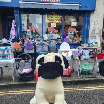Image from Jayne's Baby Bank (Main Historical Profile), 25 Oct 2025: Pre loved pug teddy free raffle - Drop a photo of you outside our shop in the comments and pick a number. T&c You have to be in Pontypool an